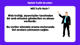 web-trafik.png