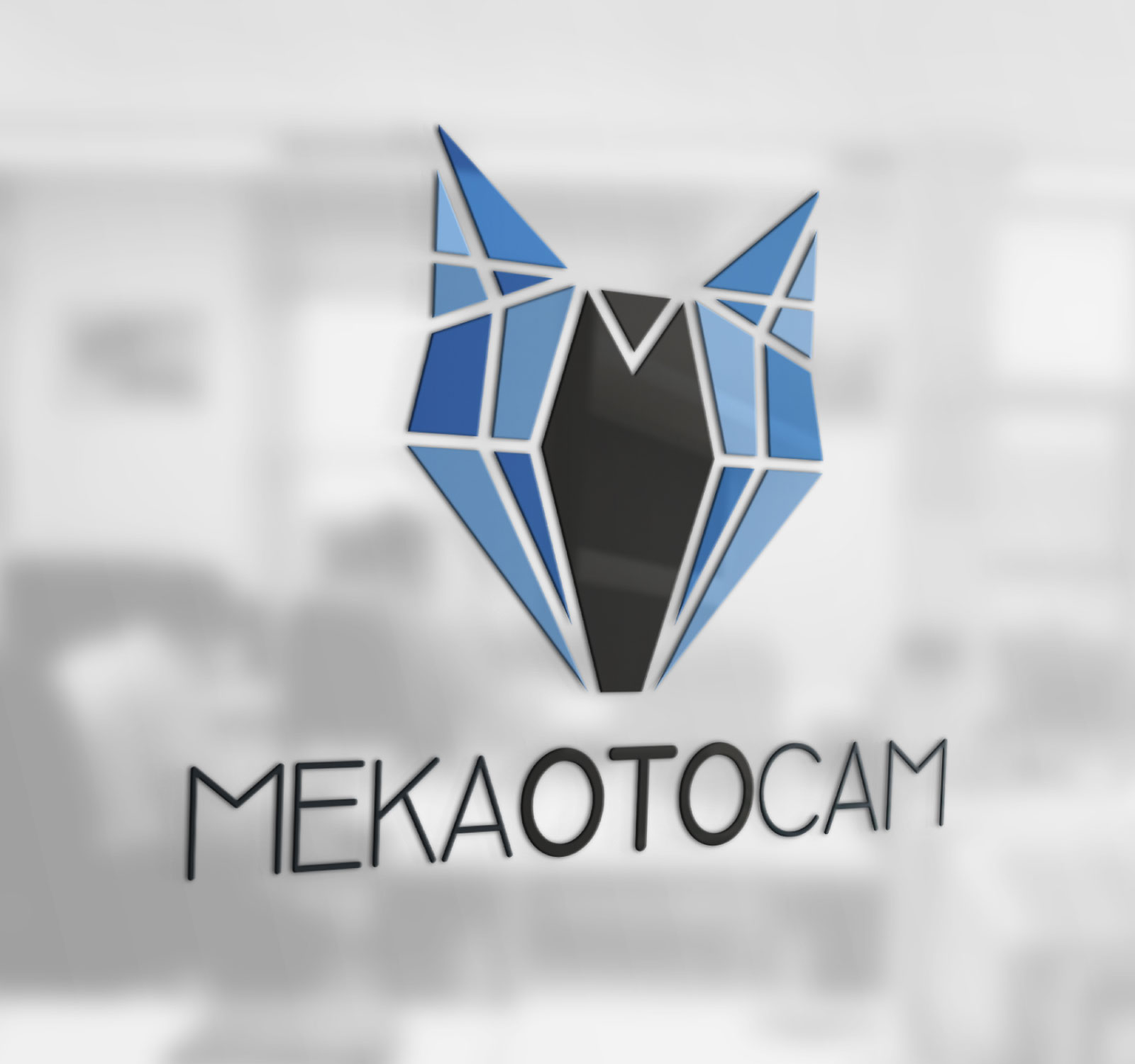 mekaotocam logo